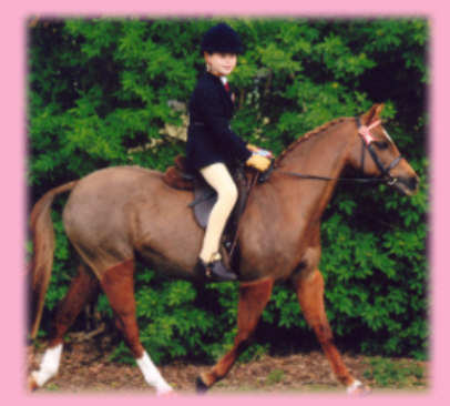 Jamie trotting on Minnie